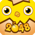 幽默搞怪的小鸡哔哔2048副本上线
