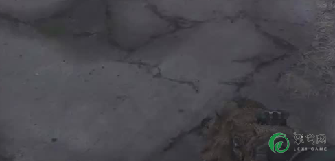 暗沉方式和5星手册,泡泡的巧解
