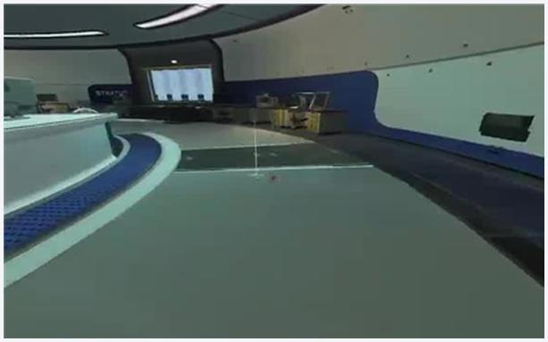 鸟类可不管什么荣耀(为什么鸟类荣耀）