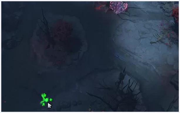 怎么玩(怎么玩的教程)