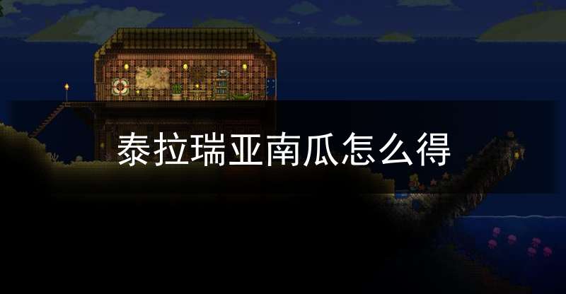 泰拉瑞亚南瓜种植技巧_南瓜怎么长大