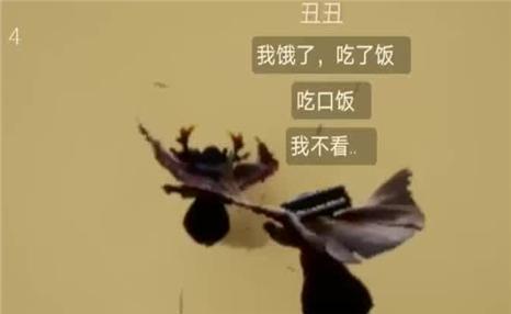 仙恋情缘手游攻略教程大全