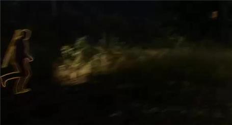 成语大接龙游戏攻略