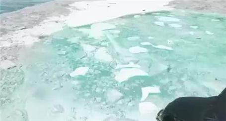 宠物王国单机版附攻略