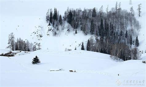 踏雪归来