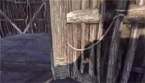 小猫钓鱼新手攻略大全（小猫钓鱼新手游戏视频）