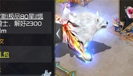 风火轮团队踩报纸游戏合作技巧