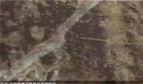 奥奇传说小助手怎么打开（奥奇传说小助手怎么打开游戏）