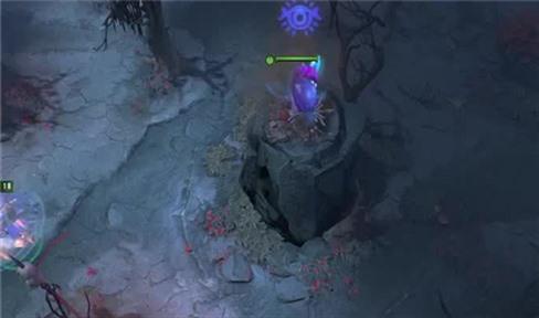 御宠达人攻略技巧大全（御宠达人攻略技巧大全图文）