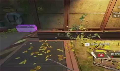 生化危机4艾达王攻略（生化危机4艾达王攻略大全）