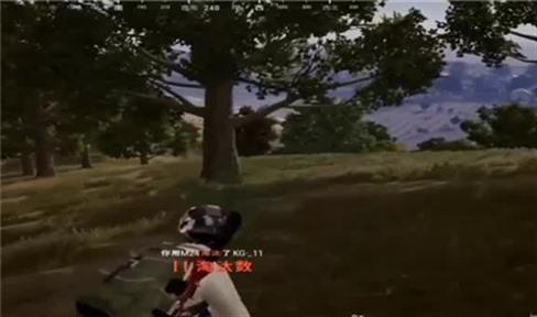 植物大战僵尸刷金币花园攻略（植物大战僵尸刷金币花园攻略图文）