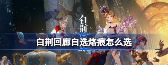 《白荆回廊》自选烙痕推荐详情_《白荆回廊》独家推荐：探秘烙痕之美！