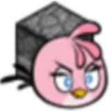 <strong>我的鸟指导版 v2.0</strong>