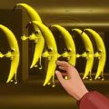迷宫后室逃离安卓手机版 v1.0
