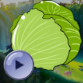 卷心菜捕手官方免费版 v0.1