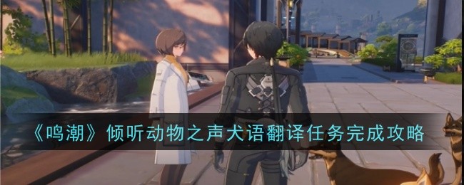 《鸣潮》倾听动物之声犬语翻译任务完成攻略_怎么完成倾听动物之声犬语翻译