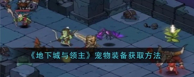 《地下城与领主》宠物装备获取方法_地下城与领主宠物装备怎么获得