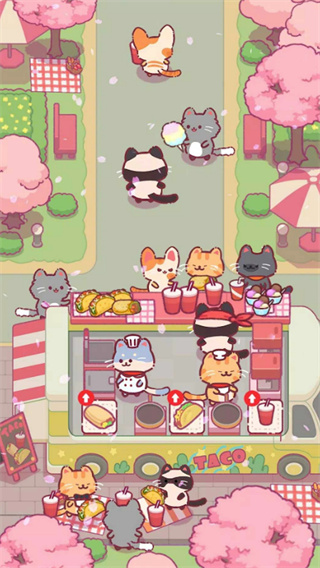 猫咪美食餐厅小动物美食经营制作