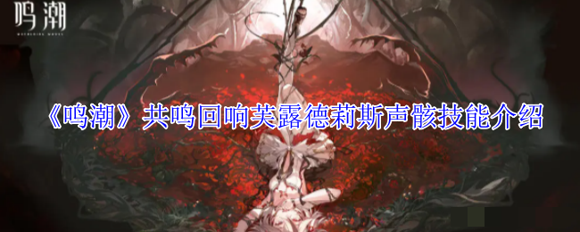 <strong>《鸣潮》共鸣回响芙露德莉斯声骸技能介绍_共鸣回响芙露德莉斯声骸什么技能</strong>