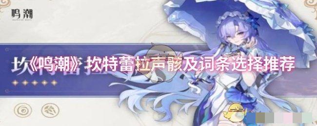 《鸣潮》坎特蕾拉声骸及词条选择推荐