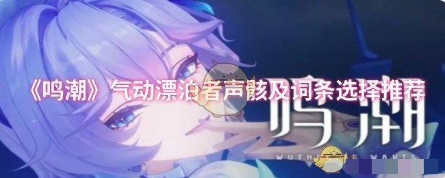 <strong>《鸣潮》气动漂泊者声骸及词条选择推荐_气动漂泊者声骸及词条应该选择哪一个</strong>