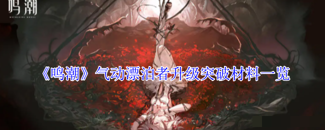 <strong>《鸣潮》气动漂泊者升级突破材料一览_气动漂泊者升级材料有哪些</strong>