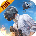 pubg轻量版北辰轻体直装版 V16