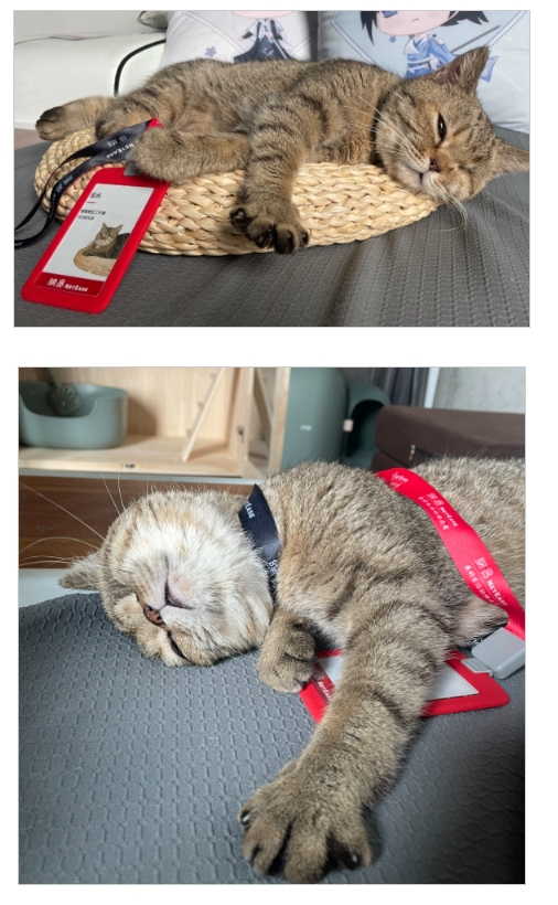 微信截图_20240409135603.png